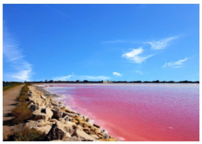 Besuch Saline AIgues-Mortes