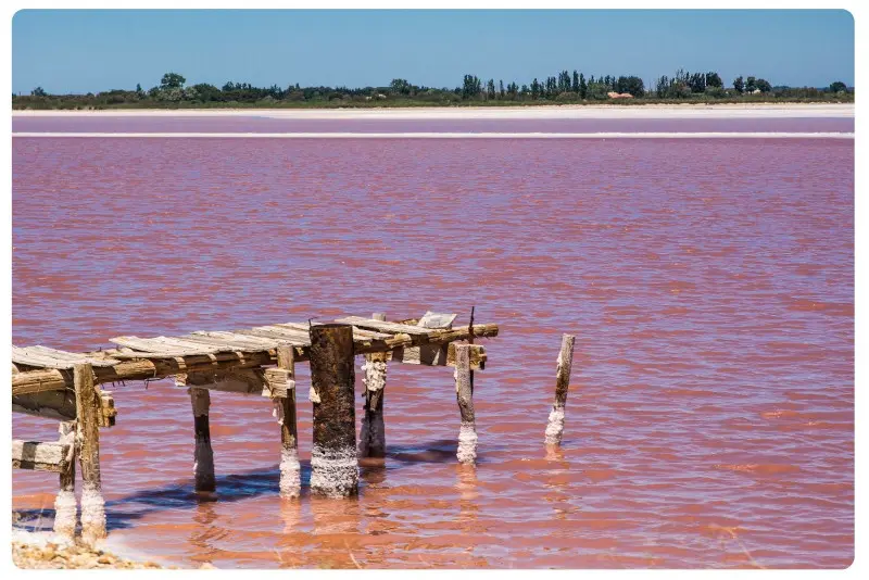 Ausflug in die Saline Aigues-Mortes
