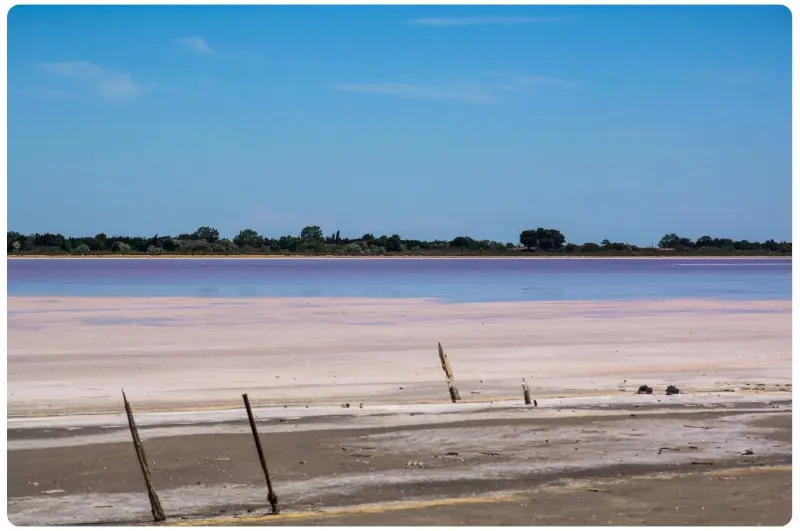 Salinenlandschaft Aigues-Mortes