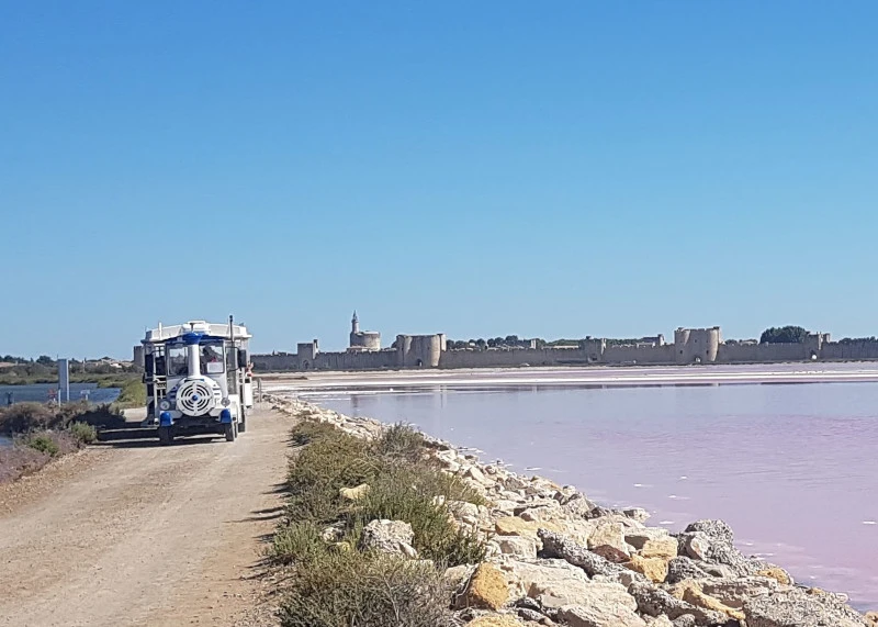Mit dem Le petit train durch die Saline Aigues-Mortes