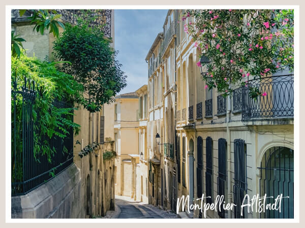 Altstadt Montpellier Titelbild
