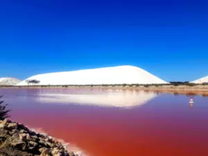 Saline Aigues-Mortes