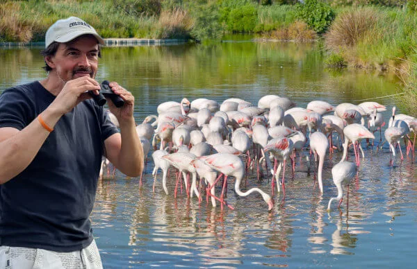 Mika und die Flamingos