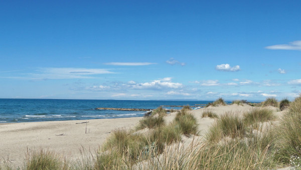 Strand von Espiguette