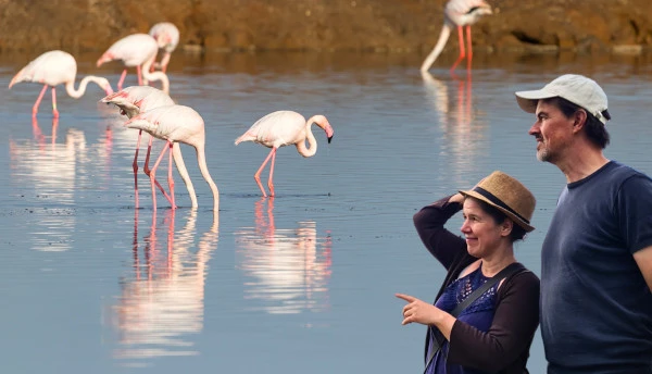 Mika Nicole und die Flamingos