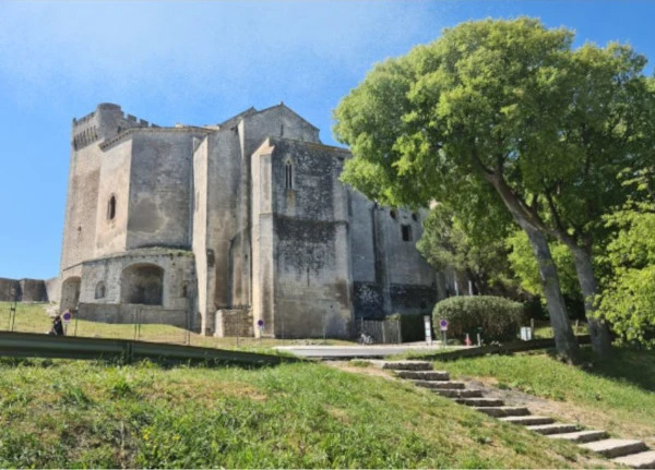 Abbaye de Monmajour bei Arles