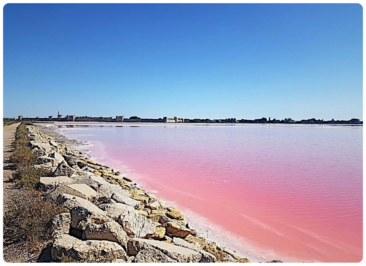 Die pinkfarbenen Salzseen von Aigues-Mortes