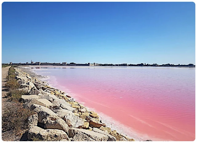 Besuch der faszinierende Saline von Aigues-Mortes bei Montpellier