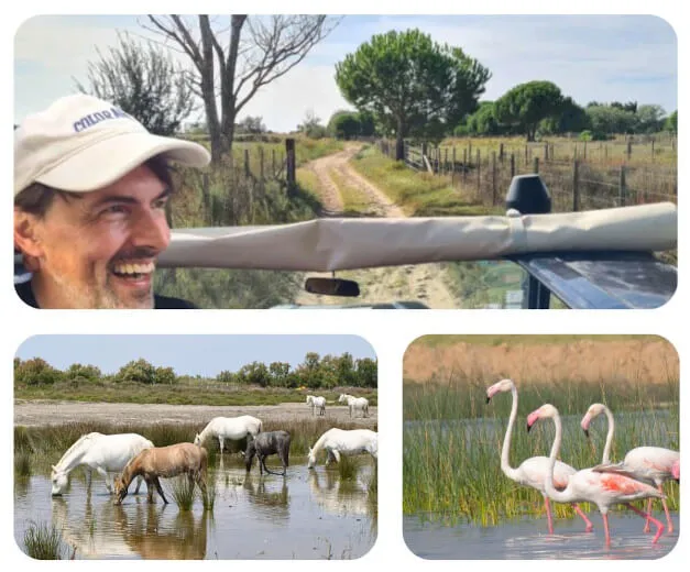 Camargue Safari – Ausflug mit Natur & Tieren in der Camargue