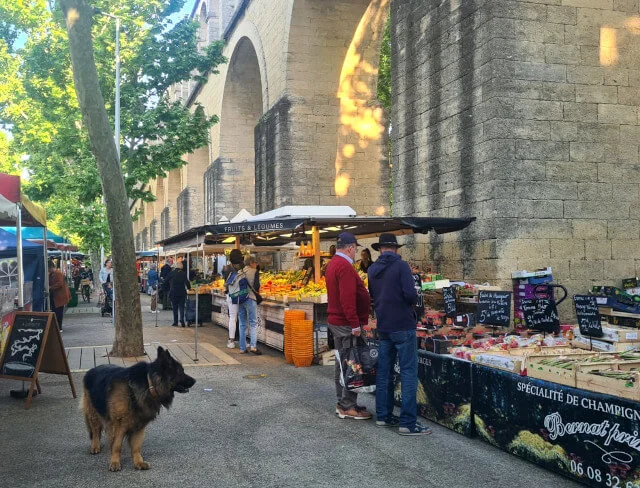 Auf dem Wochenmarkt in Les Arceaux in Montpellier ist es innerhalb der Woche etwas ruhiger