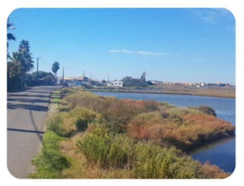 Étang de l’Ingril bei Frontignan – ganz in der Nähe vom Camping Sandaya Tamaris