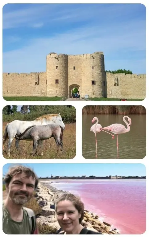 Camargue-Ausflug ab Montpellier – Highlights der Camargue