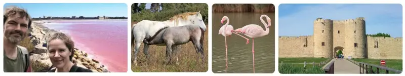 Außergewöhnliche Camargue-Tour